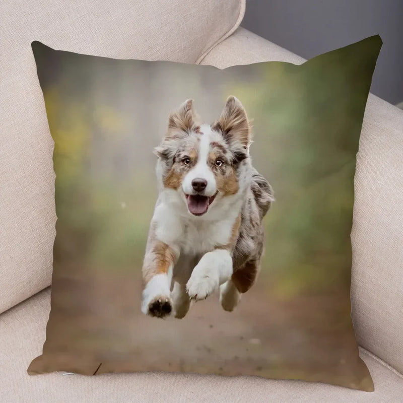 Axyaa Australian Shepherd Pillow Cover - Cute Dog Animal Cushion