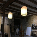 Axyaa Modern Minimalist Fabric Pendant Light - Creative Decorative Art Lamp