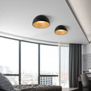 Axyaa Wood Grain Personality LED Ceiling Light for Bedroom, Living Room, Study
