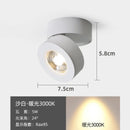 Axyaa LED Ceiling Spotlight: Adjustable Living Room Bedroom Downlight