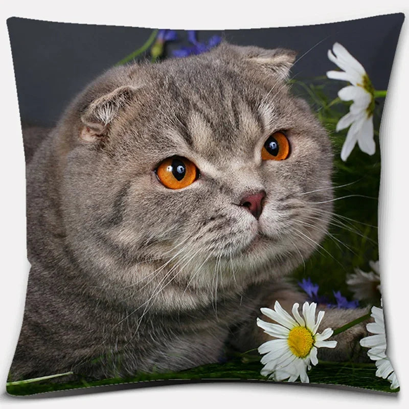 Cute Cat Series Pillowcase for Home Decor by Axyaa