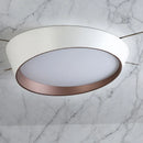 Axyaa Modern LED Ceiling Lamp for Home and Restaurant Decor