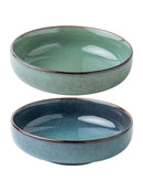 Axyaa Ceramic Salad Bowl Noodle Soup Plate Nordic Cutlery Vintage Stylish Dish
