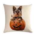 Axyaa Cute Animal Print Pet Pillow Cover for Home Sofa Decoration