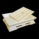Axya Wooden Sushi Plate & Bread Platter - Double-Sided Creative Cooking Box