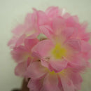 Axyaa Camellia Flower Lantern String Lights for Bedroom, Festival, and Courtyard Decor