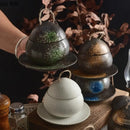 Axyaa Ceramic Egg Shape Bowl with Lid for Soup and Desserts