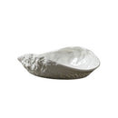 Axyaa Rock Pattern Shell High-End Ceramics Plate Set for Elegant Dining