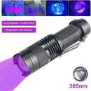 Axya 395nm UV LED Flashlight Mini Torch, Zoomable for Pet Urine, Scorpion Detection