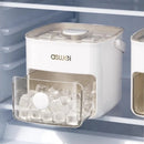 Axyaa Ice Mold Maker with Easy-press Lid, Large Capacity Storage Container