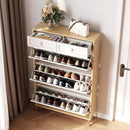 Axyaa Shoe Cabinet Storage with Drawers & Metal Legs
