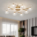 Axyaa Glass Ball Pendant Light Chandelier for Bedroom Living Room Restaurant Lighting