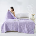 Axyaa Summer Cool Quilt Cold Silk Solid Color Single Double Air Conditioner Quilt
