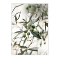 Axyaa Olive Tree Architecture Canvas Print Wall Art Posters for Living Room