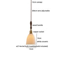 Axyaa Vintage LED Pendant Lamp with Walnut Handle & Clear Glass Shade