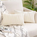 Axyaa Velvet Lumbar Throw Pillow Covers 12x20 Inch - Farmhouse Cushion Cover Cojines