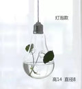 Axyaa Angel Glass Vase for Living Room Decor with Hanging Hydroponic Flowers
