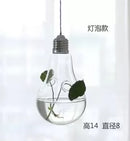 Axyaa Angel Glass Vase for Living Room Decor with Hanging Hydroponic Flowers
