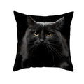 Axyaa Black Cat Pillowcases: Cute Kitty Lover Cushion Cover & Home Decor