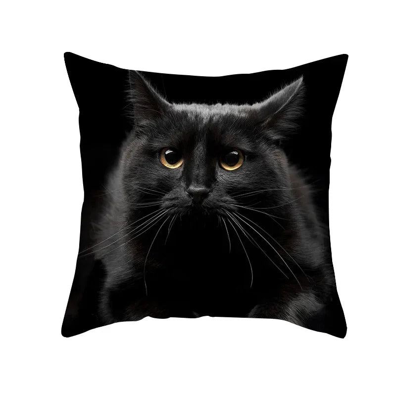 Axyaa Black Cat Pillowcases: Cute Kitty Lover Cushion Cover & Home Decor
