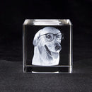 Axyaa Crystal Pet Memorial Keepsake - Personalized Sympathy Tribute Gift for Beloved Departed Pet