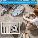 Axyaa Collapsible Storage Bins with Lid Set