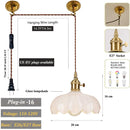 Axyaa Adjustable Glass Pendant Light with E27 Base for Living Room Bedroom Kitchen