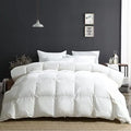 Axyaa Ultra Soft Full/Queen Down Comforter - Winter Weight for Cold Sleepers