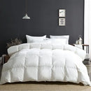 Axyaa Ultra Soft Full/Queen Down Comforter - Winter Weight for Cold Sleepers