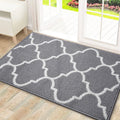 Axyaa Super Absorbent Microfiber Large Door Mat - Washable Entrance Rug