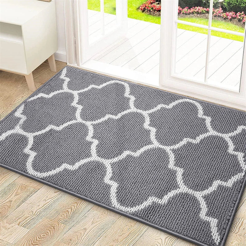 Axyaa Low-Pile Indoor Entrance Mat: Absorbent, Non-Slip & Washable Entry Rug
