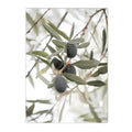 Axyaa Olive Tree Architecture Canvas Print Wall Art Posters for Living Room