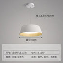 Axyaa Nordic Pendant Light for Living Dining Room Ceiling Suspension