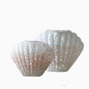 Axyaa Shell Glass Vase Whelk Scallop Floral Arrangement Terrarium Home Decoration