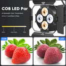 Axyaa 120W COB LED Par Lights with Barndoors for Stage, DJ Party, Theater