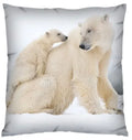 Axyaa 3D Animal Print Cushion Covers (18" x 18") - Cute Collection