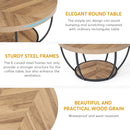 Axyaa Industrial 2-Tier Round Coffee Table with Storage Shelves