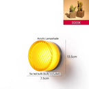 Axyaa Nordic LED Wall Light - 4 Colors, Acrylic Lampshade, Modern Design