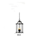 Axyaa Black Copper Cylinder Glass Birdcage Chandelier Pendant Light