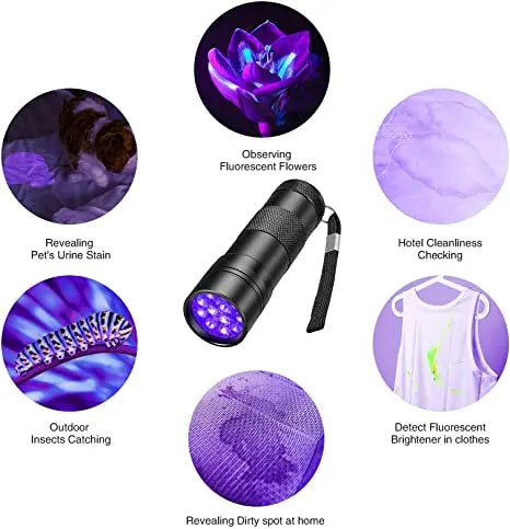 Axya 395nm Blacklight UV Mini Flashlight for Pet Urine Detection & Bed Bug Inspection