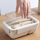 Axya Kids Bento Box Set with Tableware and Soup Cup