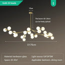 Axyaa Glass Ball Pendant Chandelier for Modern Living Room and Bedroom
