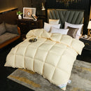 Axyaa Winter Duvet - White Goose Down Core, Double Thickened Quilt