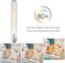Axyaa 6000K LED Tubular Edison Bulbs T10 T185 T225 T30 T300 4W 6W 8W LED Bulb