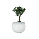 Axyaa 16-Color Waterproof Desk Lamp With Remote Control Plant Pot Table Light