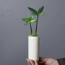 Axyaa Mini Ice Crack Glaze Succulent Pot - Small Straight Ceramic Flower Pot
