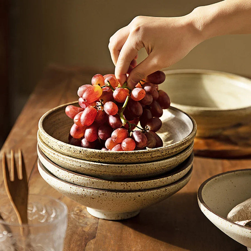 Axya Japanese Ceramic Salad Bowl Set, Heat-resisting Coarse Dinnerware, 800ml