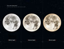Axyaa Modern Moon Decoration Wall Lamp for Living Room and Bedroom