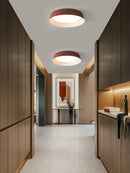 Axyaa LED Ceiling Light: Nordic Minimalist Remote Control Chandelier