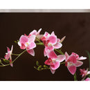 Axyaa Dove Orchid Vase: Ceramic Flower Arrangement Ornaments for Home Office Decor